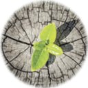 New Pathways Behavioral Health Services company logo