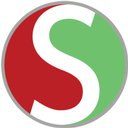 Synchronic company logo
