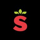 Sorli company logo