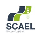 SCAEL company logo