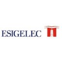 ESIGELEC company logo