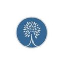 Silver Birch Living company logo