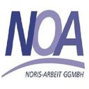 noa company logo