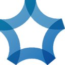 DSS GmbH company logo
