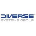 Diverse Systems Group LLC company logo