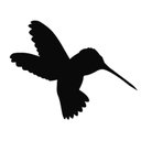 Hummingbird Care Home company logo