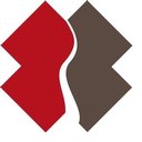 Team Rubicon company logo
