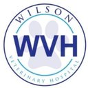 Wilson Veterinary Hospital company logo