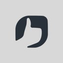 POSITIVO company logo