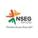 NSEG Pvt Ltd company logo