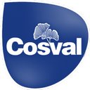 Cosval SpA company logo