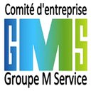 GROUPE M SERVICE company logo