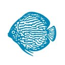 Aquarium Glaser GmbH company logo