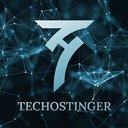 Techostinger India Private Limited company logo