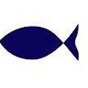 Blue Fish Pediatrics Woodlands company logo