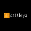 Cattleya LLC company logo