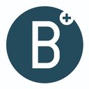 Borrauto srl company logo