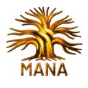 Mana Kendra GmbH company logo