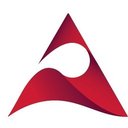 Pinnacle Partners, Inc. company logo