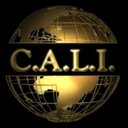 Collection at Law company logo