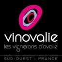 VINOVALIE company logo