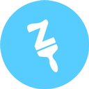 Zoom Painting company logo