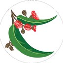 Downes Wholesale Nursery company logo