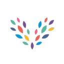 Verve Foundation Ltd company logo