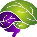 Brain Boost Academy company logo