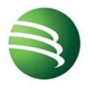 Batibig company logo