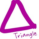 Triangle Service Ltd company logo