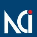 Netrika, Consulting and Investigations company logo