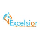 Excelsior Organization company logo