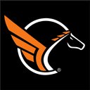 CENTRO DINAMICO PEGASO S.A DE C.V. company logo