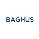 BAGHUS GmbH company logo