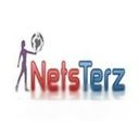 Netsterz Infotech Pvt Ltd company logo