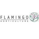Flamingo Flowers company logo