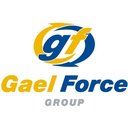 Gael Force Group company logo
