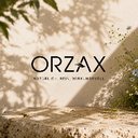 Orzax GmbH company logo