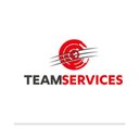 TEAM Services company logo