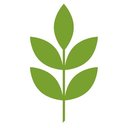 Evoolution company logo