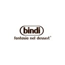 Bindi Srl company logo