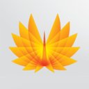 Phoenix Investors company logo