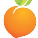 Peach Tree Healthcare company logo