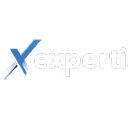 Expertis Solutions Inc. company logo