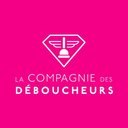 La Compagnie des Déboucheurs company logo