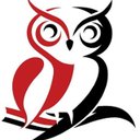 Wise Coaches company logo