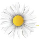 Leisure Vale Assisted Living company logo