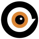 TWG Security company logo