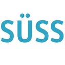SÜSS Beratende Ingenieure GmbH &amp; Co. KG company logo